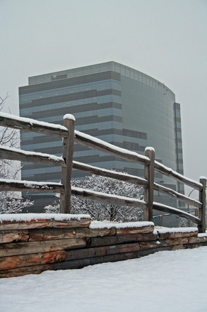 NLOP Winter-2